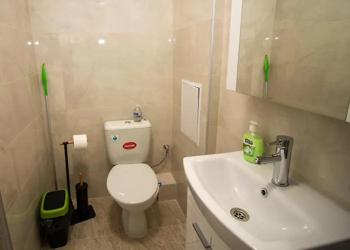 Vitosha View With Parking *