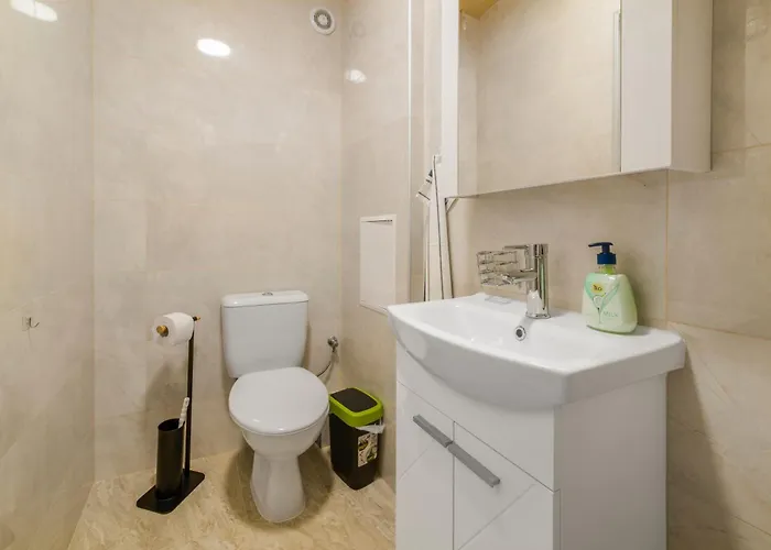 Vitosha View With Parking